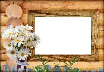 Εφέ φωτογραφιών στην κατηγορία Διαφορετικές № 164792 Εφέ φωτογραφιών στην κατηγορία Διαφορετικές № 164792