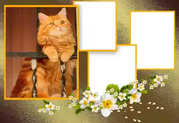 Εφέ φωτογραφιών στην κατηγορία Διαφορετικές № 166093 Εφέ φωτογραφιών στην κατηγορία Διαφορετικές № 166093