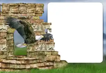 Εφέ φωτογραφιών στην κατηγορία Διαφορετικές № 166357 Εφέ φωτογραφιών στην κατηγορία Διαφορετικές № 166357