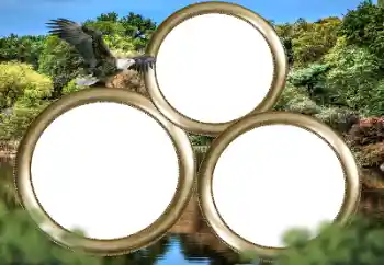 Εφέ φωτογραφιών στην κατηγορία Διαφορετικές № 167860 Εφέ φωτογραφιών στην κατηγορία Διαφορετικές № 167860