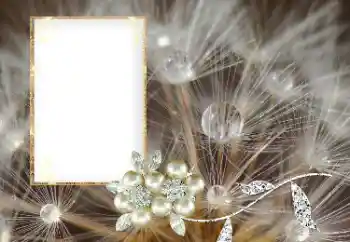 Εφέ φωτογραφιών στην κατηγορία Διαφορετικές № 169101 Εφέ φωτογραφιών στην κατηγορία Διαφορετικές № 169101