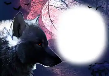 Εφέ φωτογραφιών στην κατηγορία Διαφορετικές № 16918