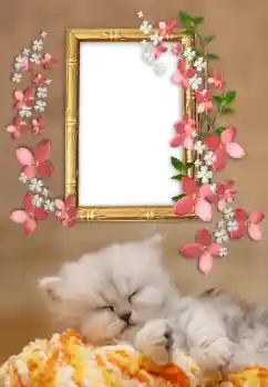 Εφέ φωτογραφιών στην κατηγορία Διαφορετικές № 169232