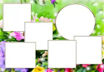 Εφέ φωτογραφιών στην κατηγορία Διαφορετικές № 169279