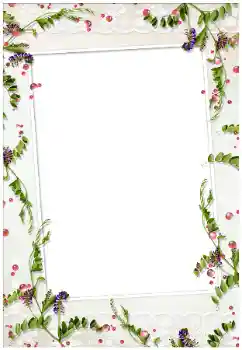 Εφέ φωτογραφιών στην κατηγορία Διαφορετικές № 17020