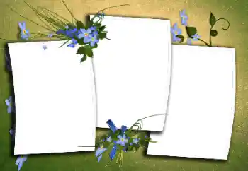 Εφέ φωτογραφιών στην κατηγορία Διαφορετικές № 170395