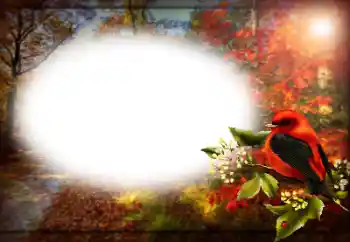 Εφέ φωτογραφιών στην κατηγορία Διαφορετικές № 170400