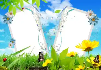 Εφέ φωτογραφιών στην κατηγορία Διαφορετικές № 17121