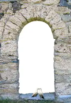 Εφέ φωτογραφιών στην κατηγορία Διαφορετικές № 171681