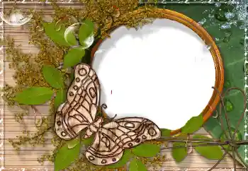 Εφέ φωτογραφιών στην κατηγορία Διαφορετικές № 17189