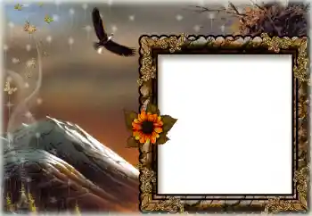 Εφέ φωτογραφιών στην κατηγορία Διαφορετικές № 172844