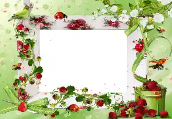 Εφέ φωτογραφιών στην κατηγορία Διαφορετικές № 172917