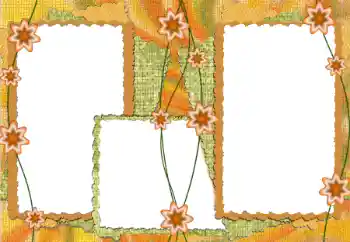 Εφέ φωτογραφιών στην κατηγορία Διαφορετικές № 172922