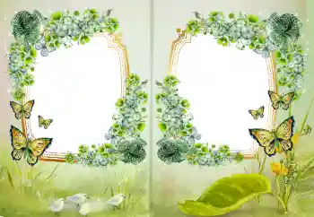 Εφέ φωτογραφιών στην κατηγορία Διαφορετικές № 172968