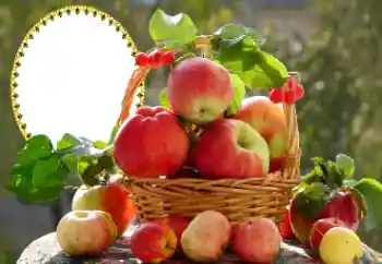 Εφέ φωτογραφιών στην κατηγορία Διαφορετικές № 173030