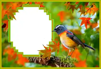 Εφέ φωτογραφιών στην κατηγορία Διαφορετικές № 173036