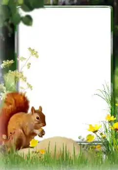 Εφέ φωτογραφιών στην κατηγορία Διαφορετικές № 174270