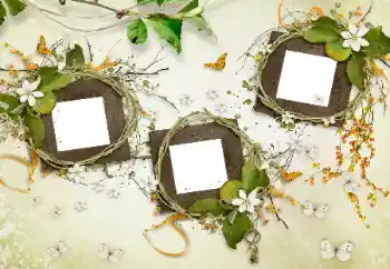 Εφέ φωτογραφιών στην κατηγορία Διαφορετικές № 175577