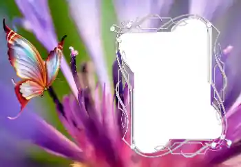 Εφέ φωτογραφιών στην κατηγορία Διαφορετικές № 176776 Εφέ φωτογραφιών στην κατηγορία Διαφορετικές № 176776