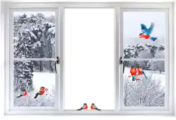 Εφέ φωτογραφιών στην κατηγορία Διαφορετικές № 177876