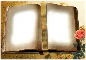 Εφέ φωτογραφιών στην κατηγορία Διαφορετικές № 180729