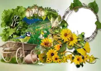 Εφέ φωτογραφιών στην κατηγορία Διαφορετικές № 180773 Εφέ φωτογραφιών στην κατηγορία Διαφορετικές № 180773