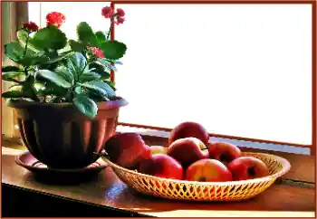 Εφέ φωτογραφιών στην κατηγορία Διαφορετικές № 180838