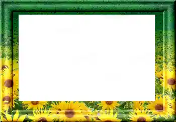 Εφέ φωτογραφιών στην κατηγορία Διαφορετικές № 1816