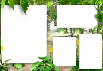 Εφέ φωτογραφιών στην κατηγορία Διαφορετικές № 182015