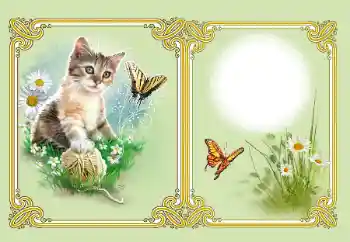 Εφέ φωτογραφιών στην κατηγορία Διαφορετικές № 182126