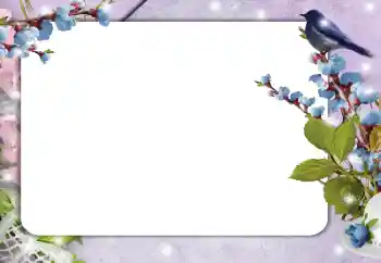 Εφέ φωτογραφιών στην κατηγορία Διαφορετικές № 182214