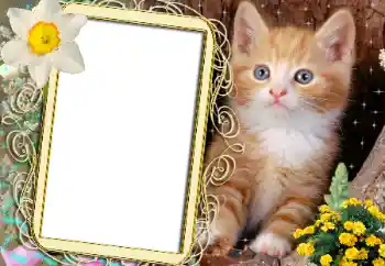 Εφέ φωτογραφιών στην κατηγορία Διαφορετικές № 183482