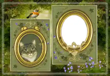 Εφέ φωτογραφιών στην κατηγορία Διαφορετικές № 183530