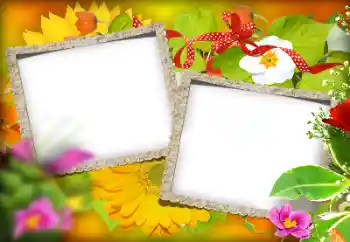 Εφέ φωτογραφιών στην κατηγορία Διαφορετικές № 184580