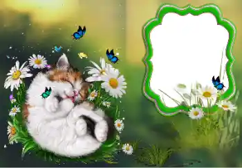 Εφέ φωτογραφιών στην κατηγορία Διαφορετικές № 184694