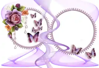 Εφέ φωτογραφιών στην κατηγορία Διαφορετικές № 184695