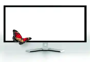 Εφέ φωτογραφιών στην κατηγορία Διαφορετικές № 185816 Εφέ φωτογραφιών στην κατηγορία Διαφορετικές № 185816