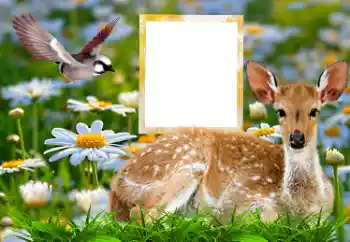 Εφέ φωτογραφιών στην κατηγορία Διαφορετικές № 185878 Εφέ φωτογραφιών στην κατηγορία Διαφορετικές № 185878