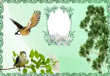 Εφέ φωτογραφιών στην κατηγορία Διαφορετικές № 185981 Εφέ φωτογραφιών στην κατηγορία Διαφορετικές № 185981