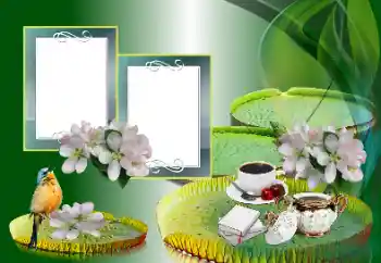 Εφέ φωτογραφιών στην κατηγορία Διαφορετικές № 185988 Εφέ φωτογραφιών στην κατηγορία Διαφορετικές № 185988