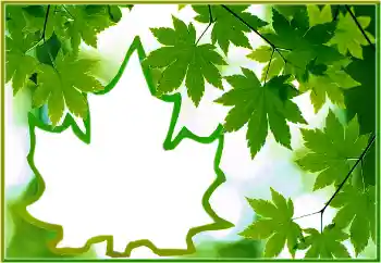 Εφέ φωτογραφιών στην κατηγορία Διαφορετικές № 186022 Εφέ φωτογραφιών στην κατηγορία Διαφορετικές № 186022