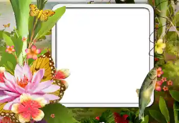 Εφέ φωτογραφιών στην κατηγορία Διαφορετικές № 188076 Εφέ φωτογραφιών στην κατηγορία Διαφορετικές № 188076