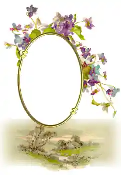 Εφέ φωτογραφιών στην κατηγορία Διαφορετικές № 190547