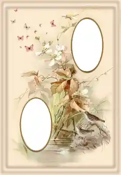 Εφέ φωτογραφιών στην κατηγορία Διαφορετικές № 190550