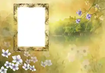 Εφέ φωτογραφιών στην κατηγορία Διαφορετικές № 190618