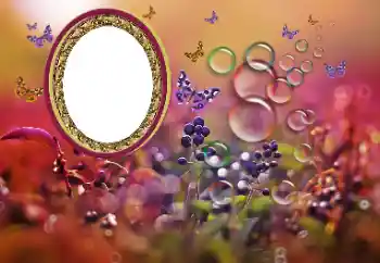 Εφέ φωτογραφιών στην κατηγορία Διαφορετικές № 191700