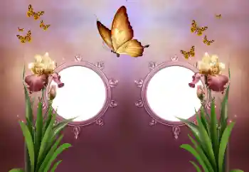 Εφέ φωτογραφιών στην κατηγορία Διαφορετικές № 191737