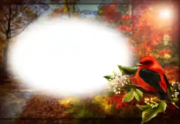 Εφέ φωτογραφιών στην κατηγορία Διαφορετικές № 191759