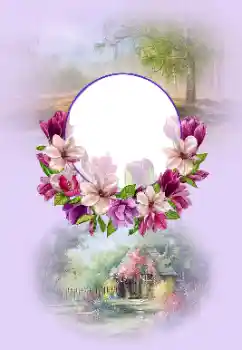 Εφέ φωτογραφιών στην κατηγορία Διαφορετικές № 195279