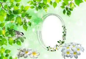 Εφέ φωτογραφιών στην κατηγορία Διαφορετικές № 196398